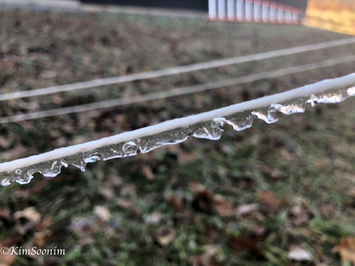2018CottonTwine03.jpg