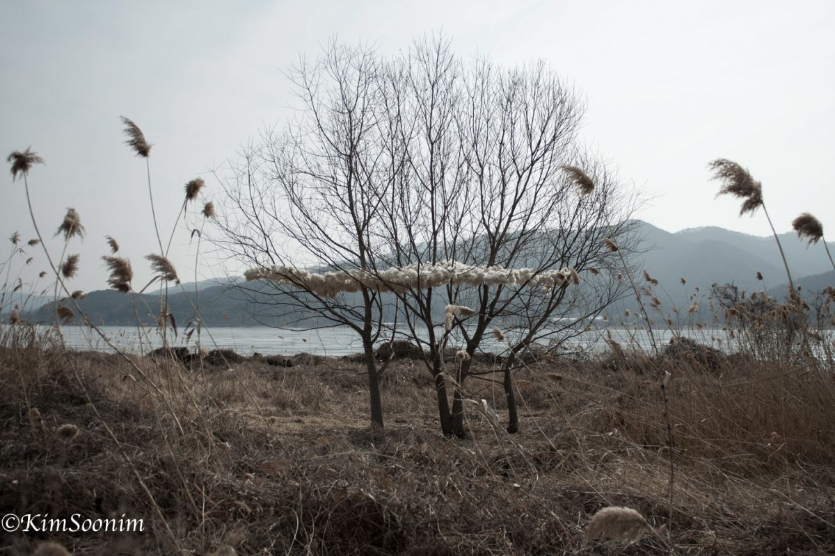 2018한이불09.jpg