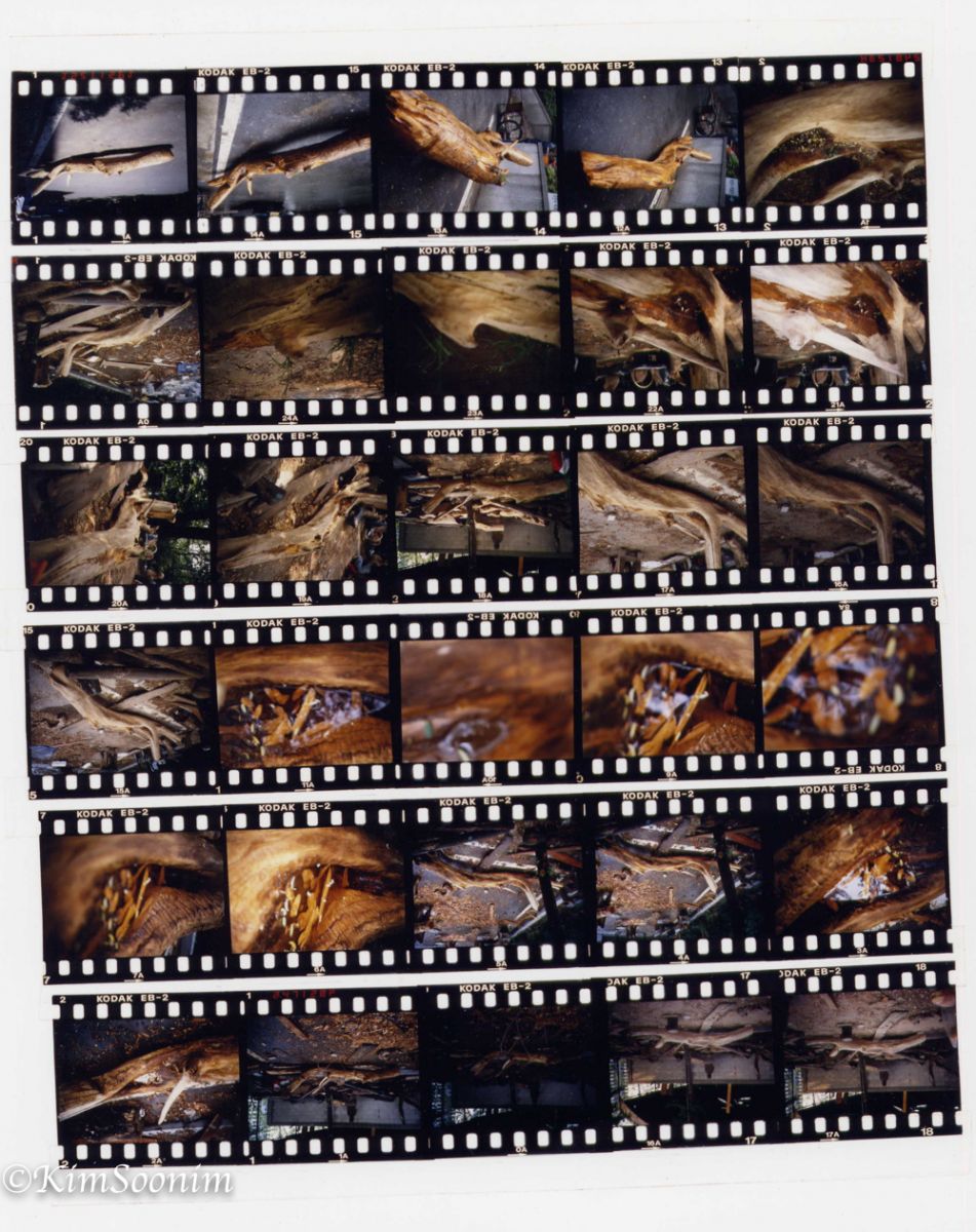 20000529Carving_07.jpg