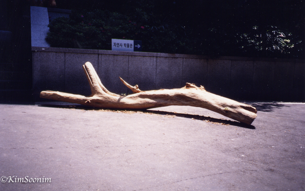 20000529Carving_03.jpg