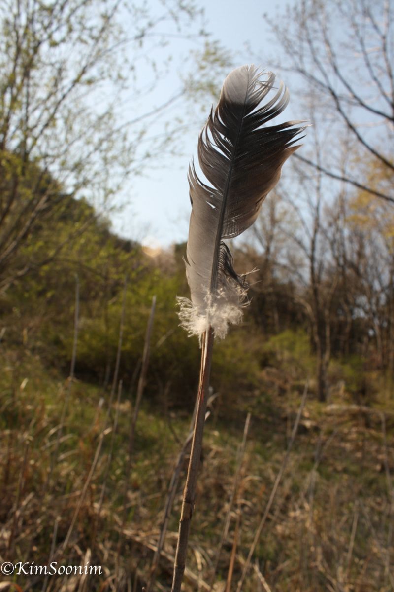 20130427Yatooi봄공주_14.jpg