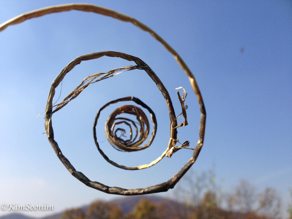 20141105yatooi가을_03.jpg