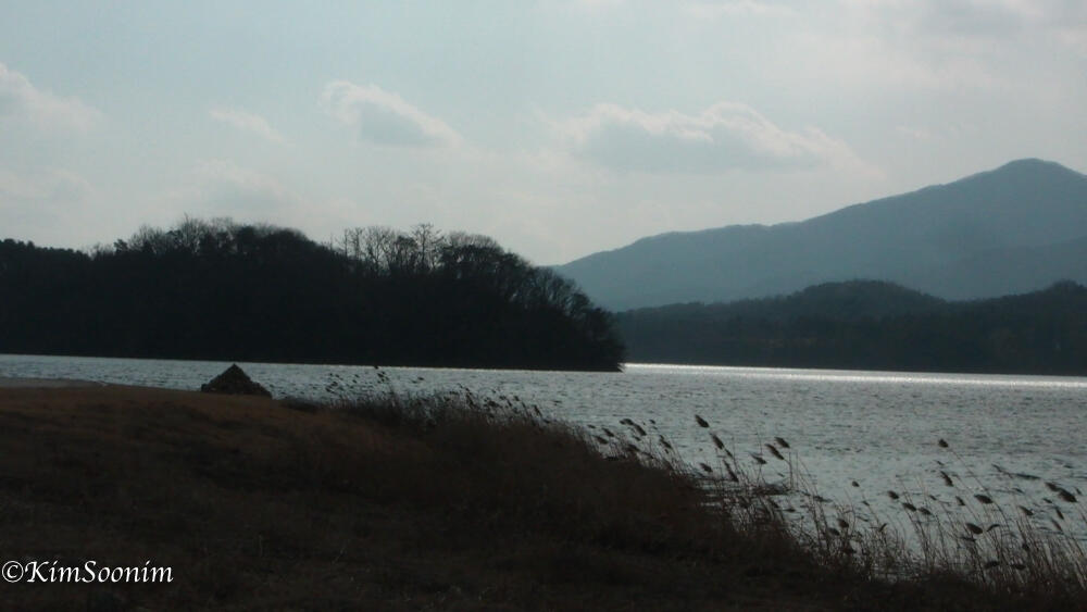 20150226yatooi2014겨울_03.jpg