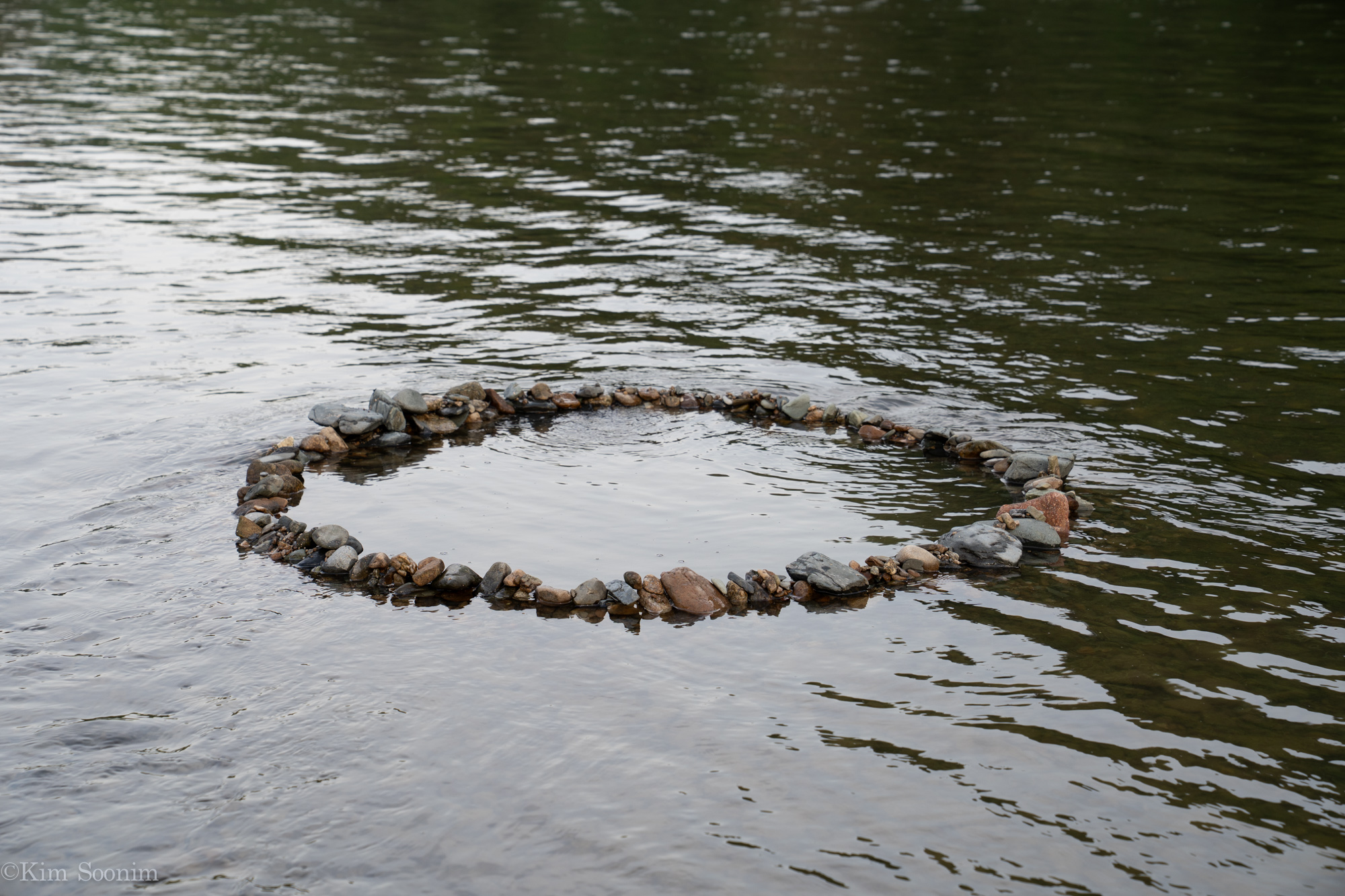 s240426 금강-03831.jpg