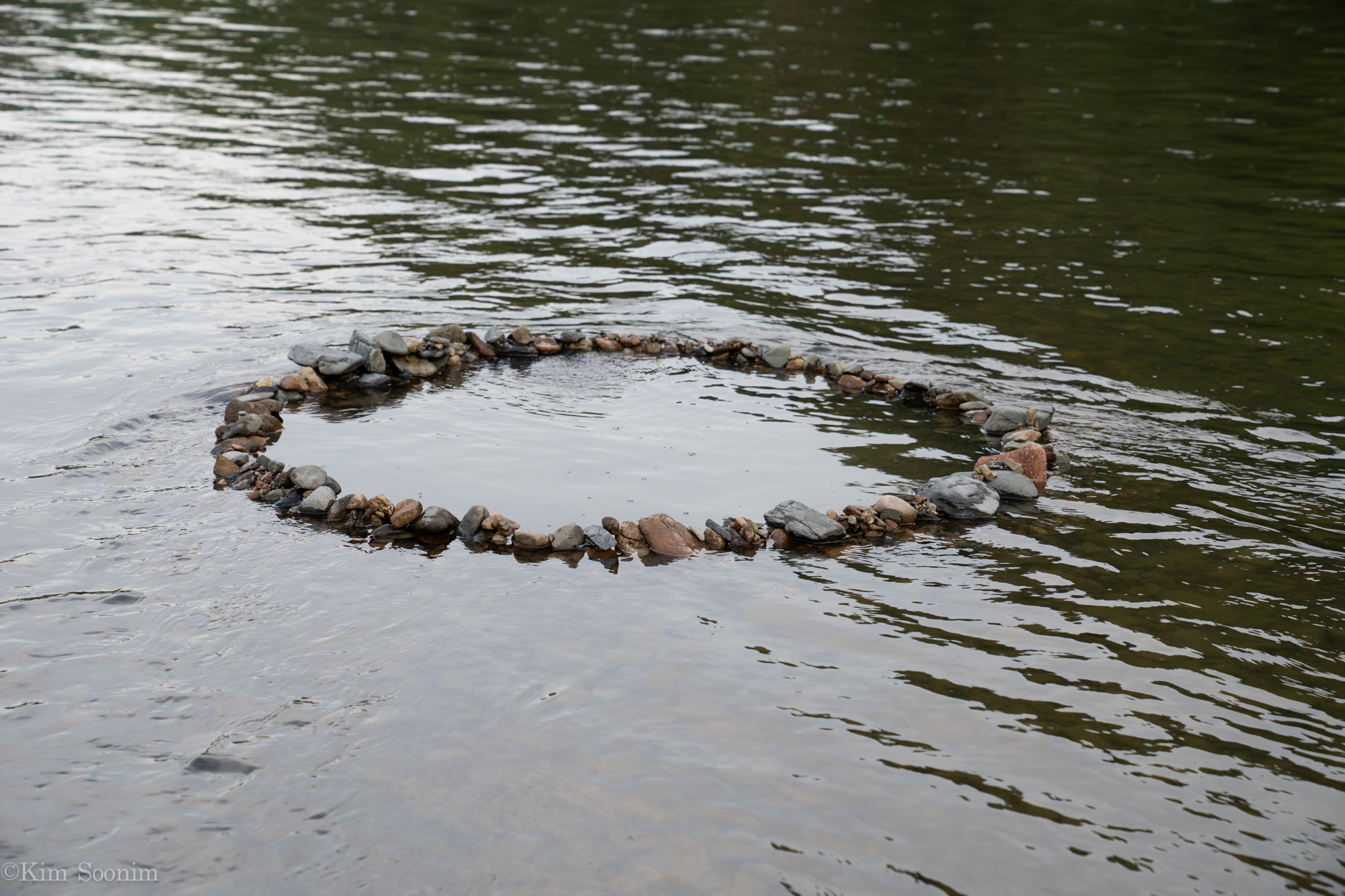 s240426 금강-03836.jpg