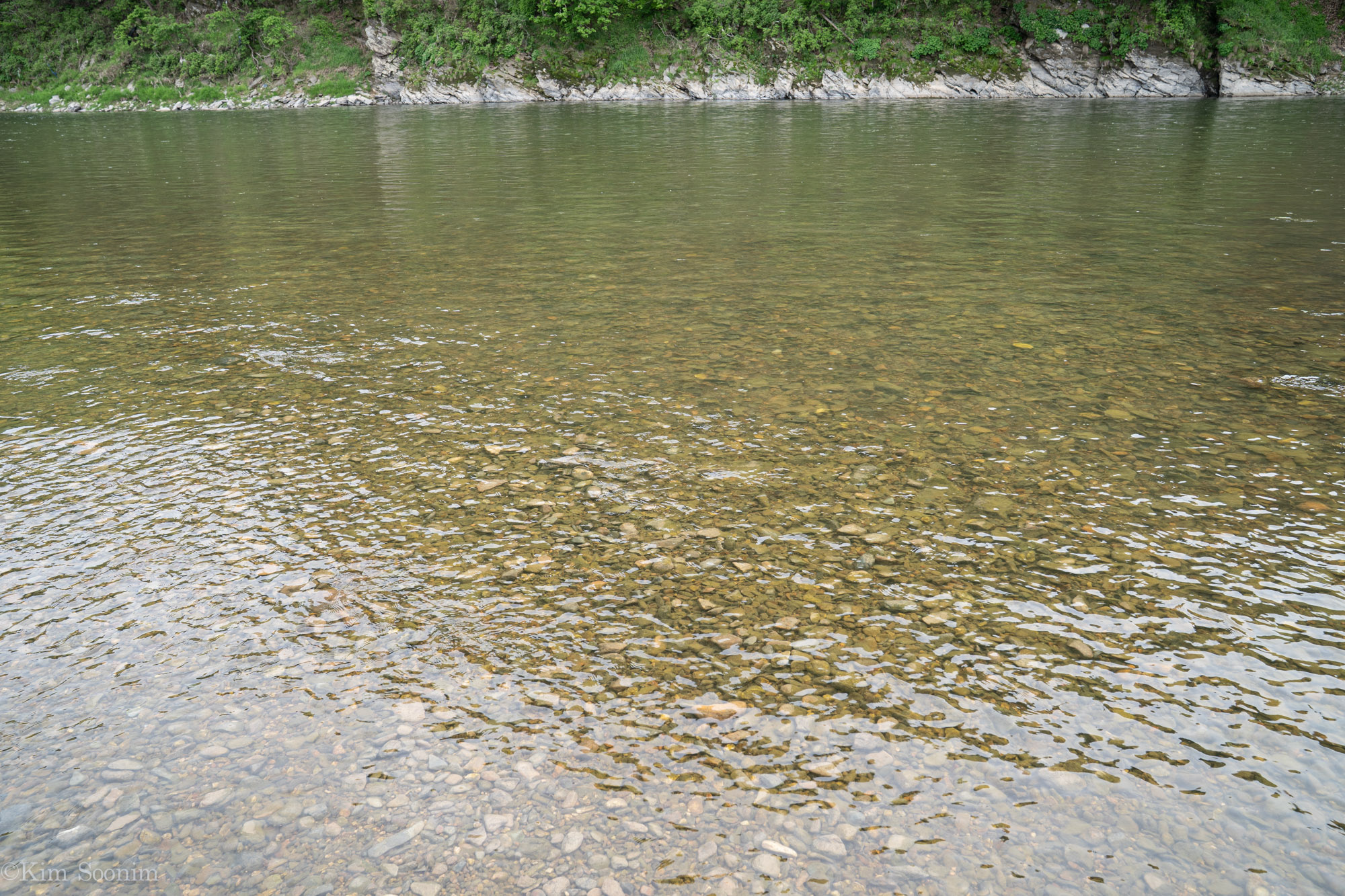 s240426 금강-03806.jpg