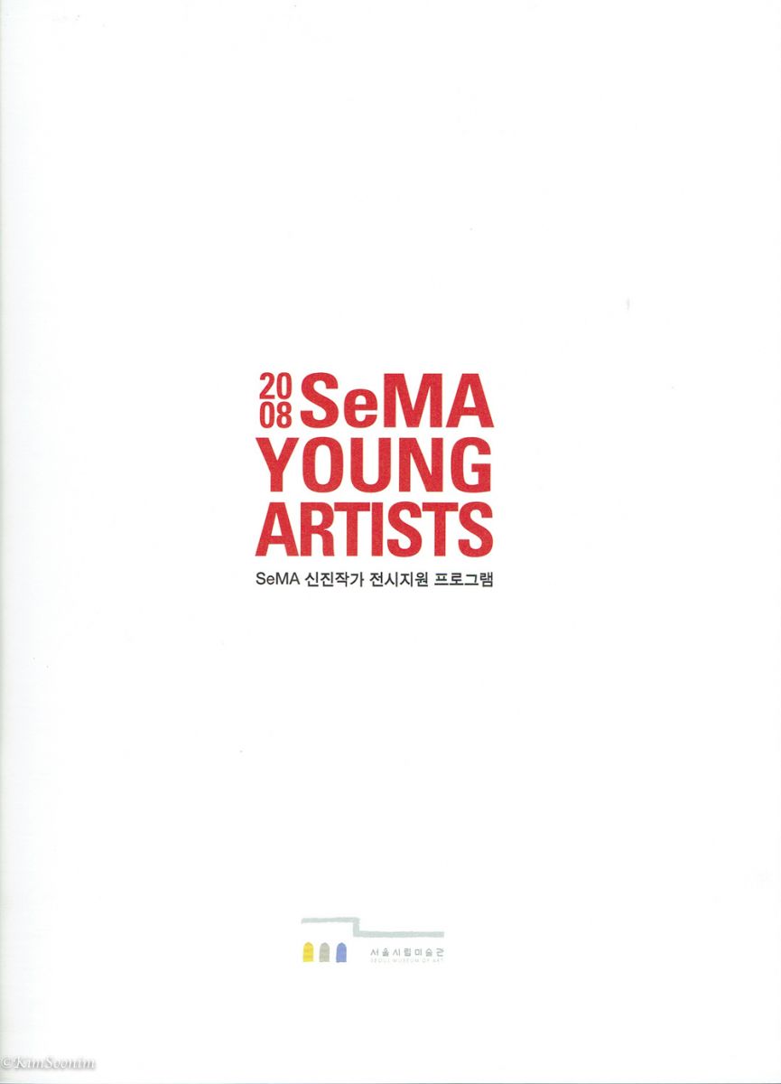 20081216 SeMA Young Artists_ SeMA 신진작가 전시지원 프로그램 _서울시립미술관 워크숍_02.jpg
