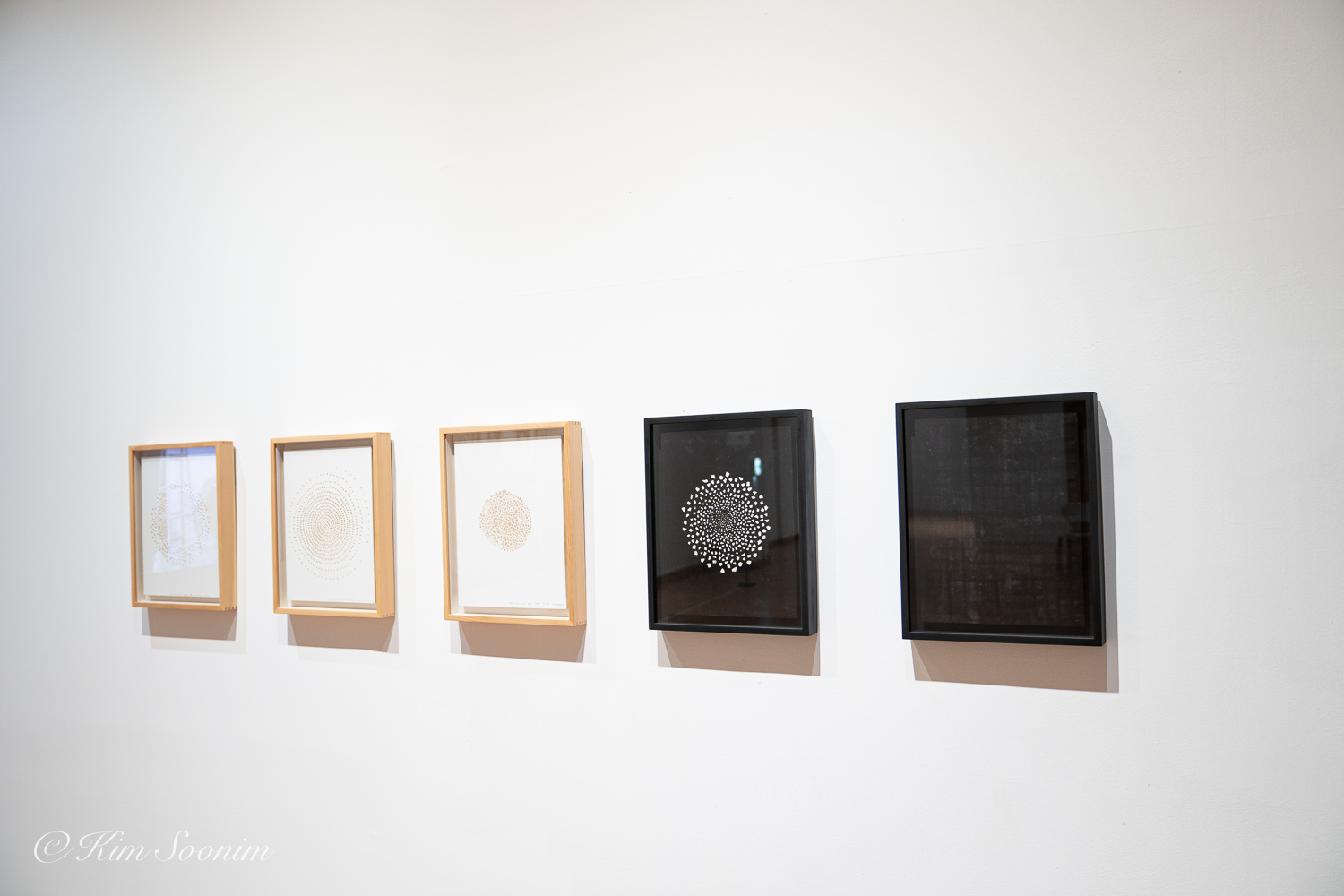 sNinF_BMoCA-3-2.jpg
