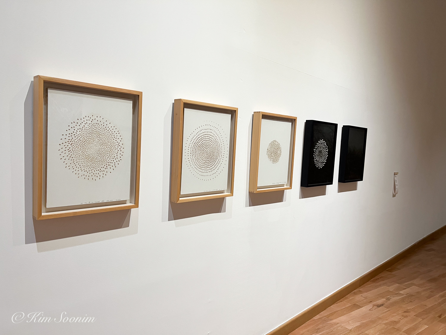 sNinF_BMoCA-1-2.jpg