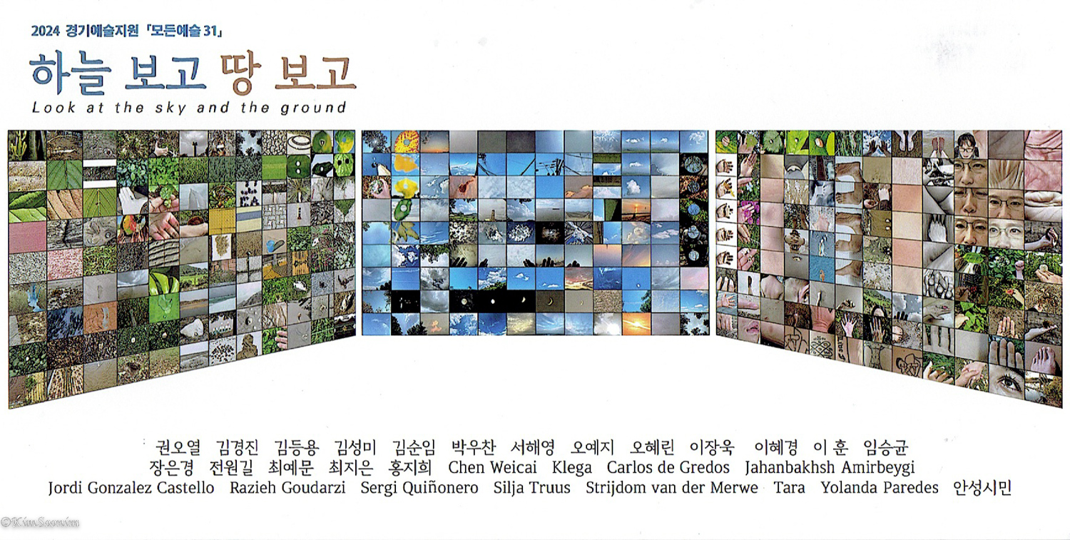 241102 하늘보고땅보고_001.jpg