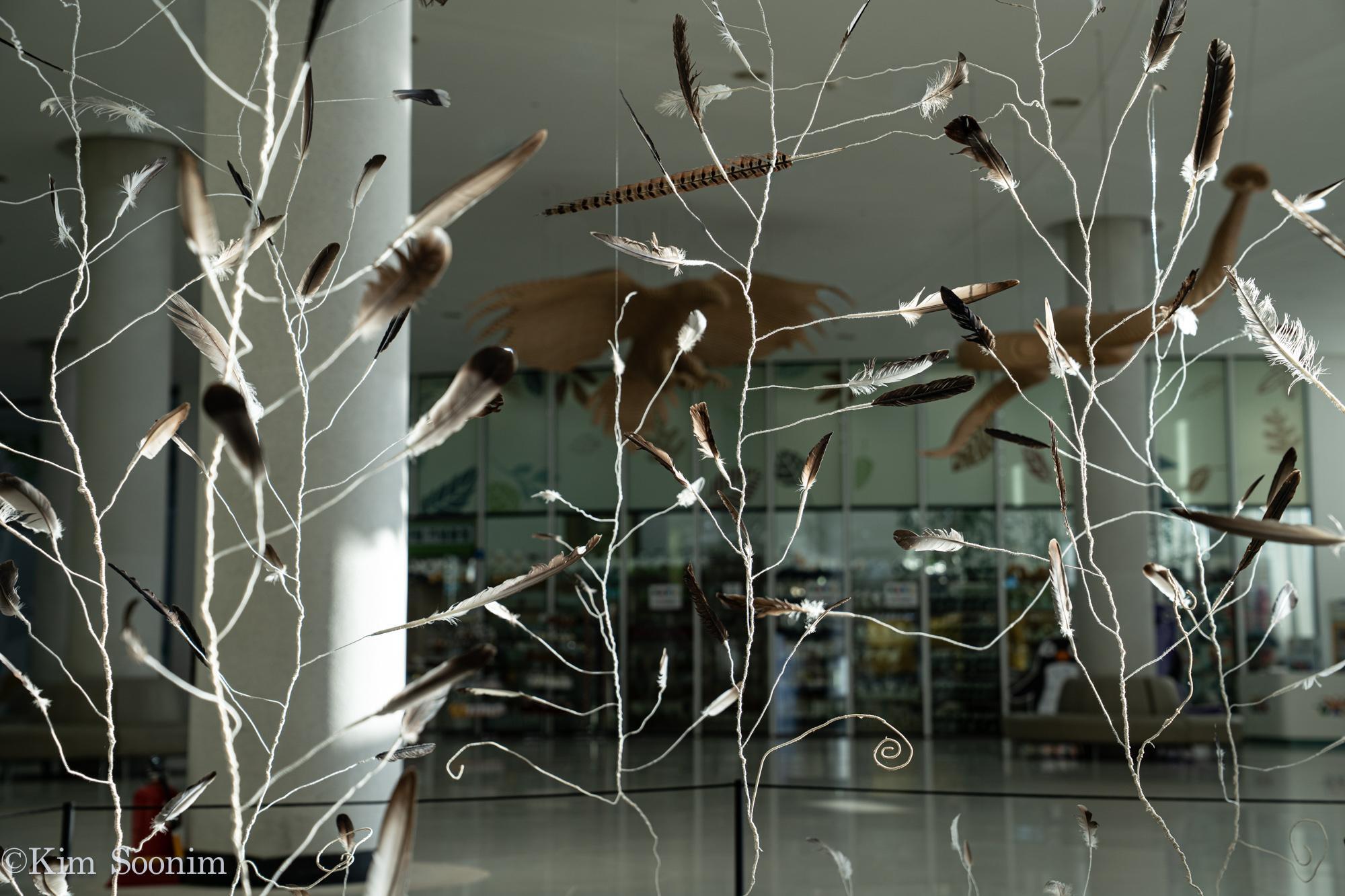Wings-7.jpg